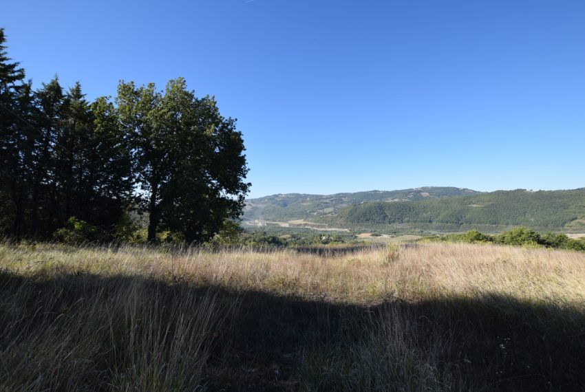 DSC_0249 (1)
