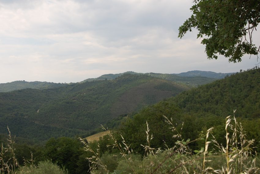 DSC_1917