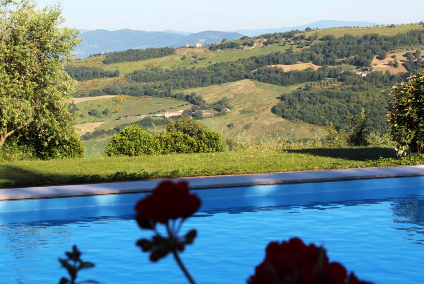 Piscina panorama